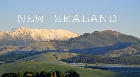 What makes New Zealand's education system appealing?