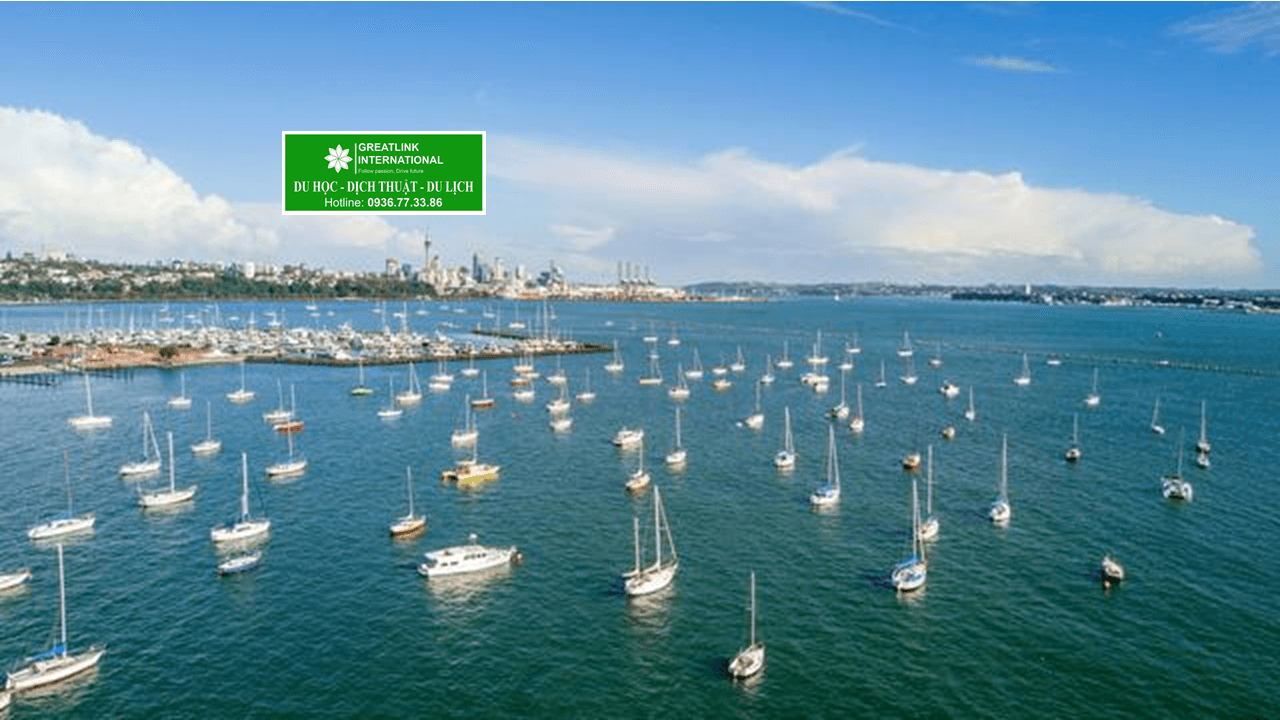 Four things to do when studying in New Zealand